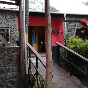 Galapagos Morning Glory Пуэрто-Айора